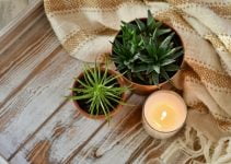 Creating Candle Making Scent With Fragrance Oils