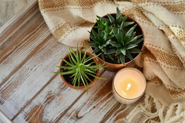 Creating Candle Making Scent With Fragrance Oils Creating Candle Making Scent With Fragrance Oils
