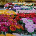 Best Candle Making Price