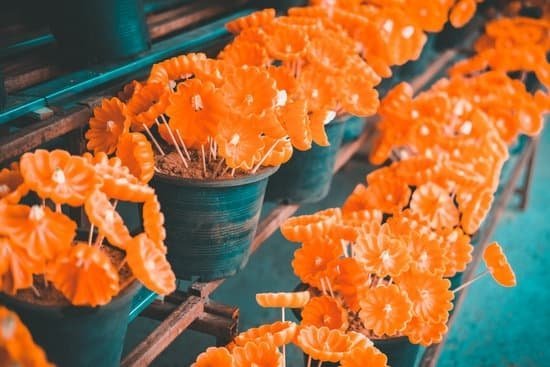 Best Scents To Use For Candle Making 1 best scents to use for candle making