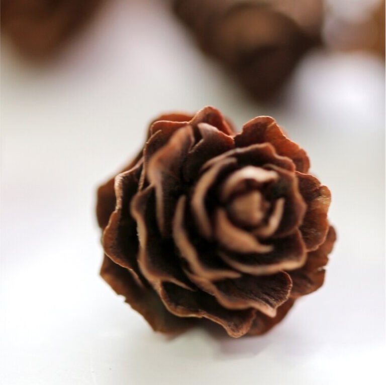 What Scents Are Best For Candle Making?