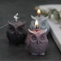Making Emergency Candles