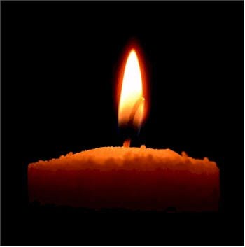 Yankee Candle crackling candle availability: Updates and alternatives. Explore the latest options