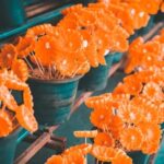 Batik wax can be repurposed for candle making as an alternative to traditional candle wax