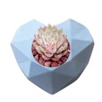 Can You Use Silicon Molds When Making Beeswax Candles Silicon molds suitable for crafting beeswax candles can be used for making desired candle shapes