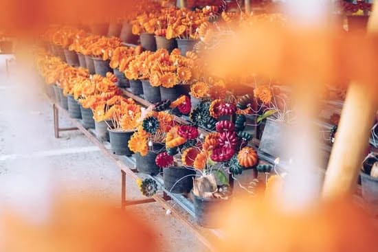 Where to Buy Candle Making Supplies: Find Quality Materials Online or at Craft Stores