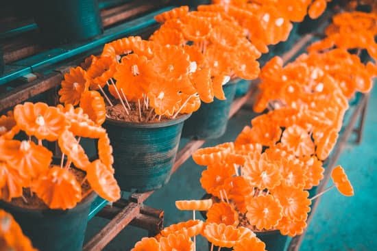 Candle Making Course Cheshire 7 Learn candle making in Cheshire - expert-led course for beginners