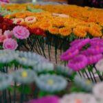 Top quality candle making supplies in Australia for all your crafting needs