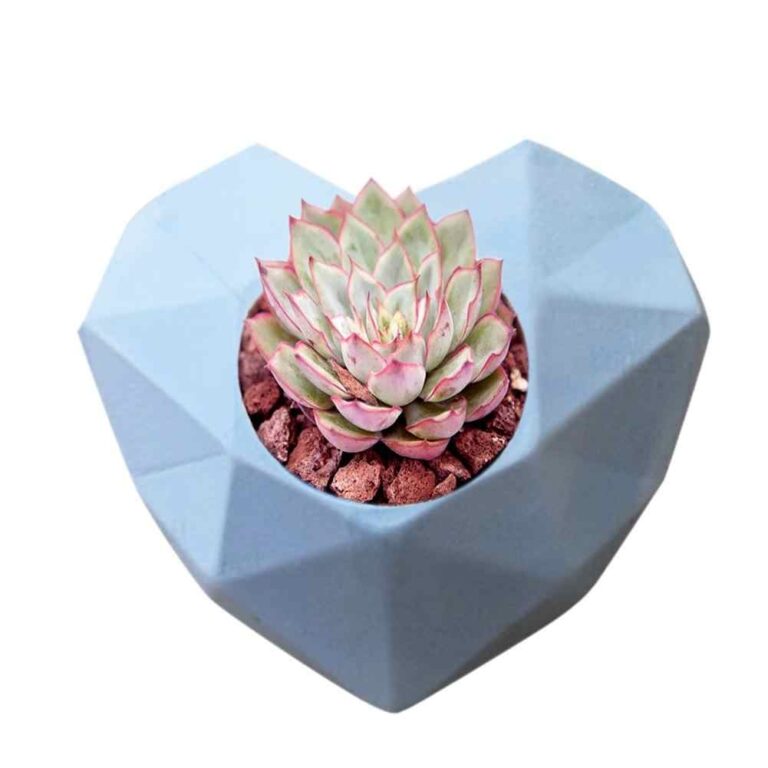 Proper wick placement prevents candle making sinking in middle. Why