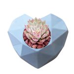 A photo of ingredients for making soy candles including soy wax, fragrance oils, and candle wicks