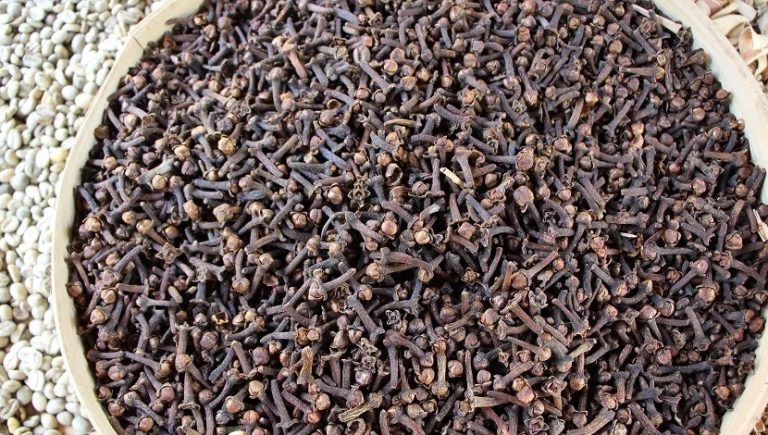 best candle making kits 2021