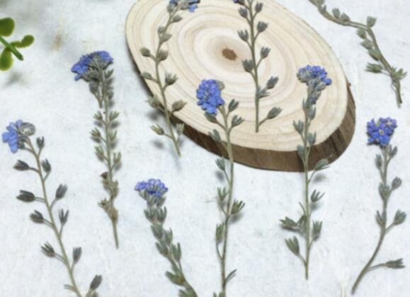 Making Candles Essential Oils 1 Step-by-Step Guide for Aromatherapy Enthusiasts